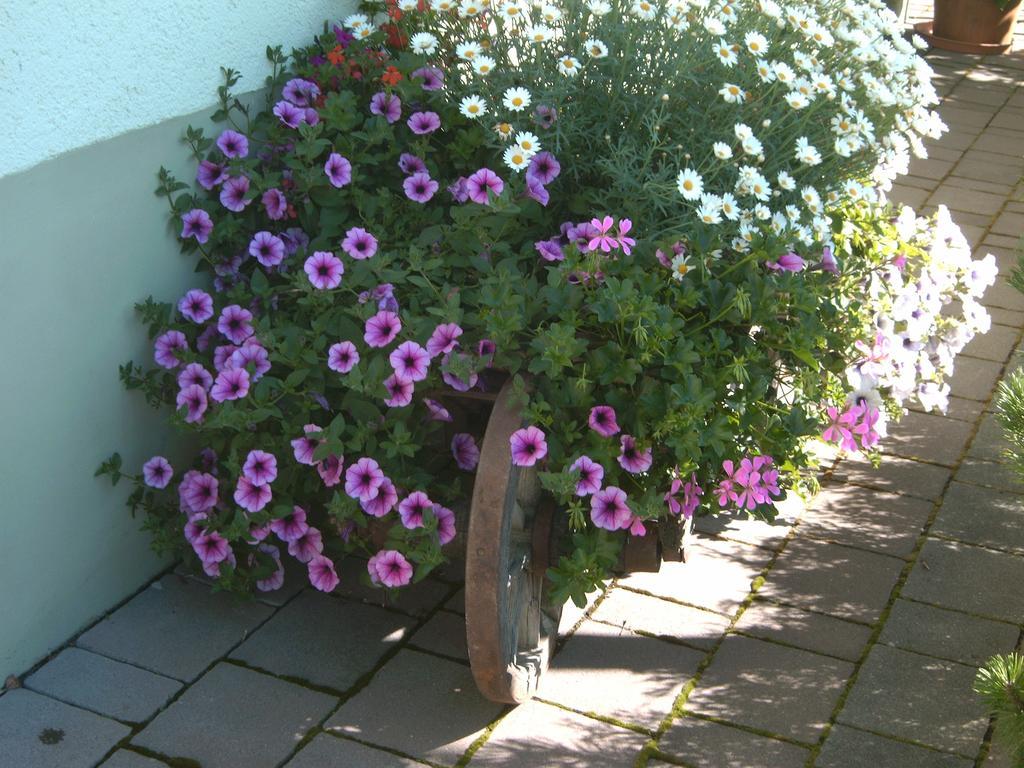 Gaestehaus Walch Fendels Exteriör bild
